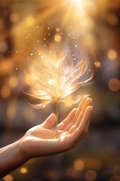 Benefícios da Espiritualidade na Vida Cotidiana